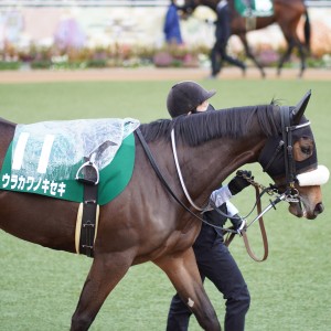 2022/1/10 フェアリーS(G3)