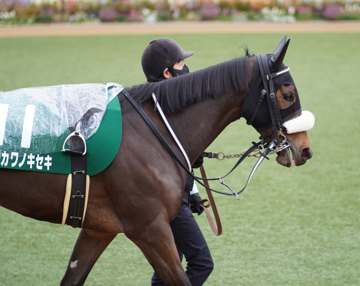 2022/1/10 フェアリーS(G3) ウラカワノキセキ