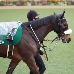 2022/1/10 フェアリーS(G3)