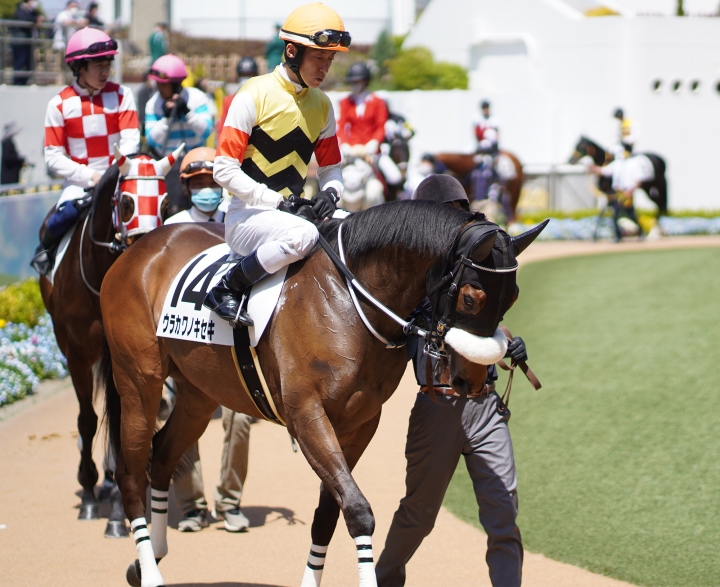 2022/4/10 3歳1勝クラス ウラカワノキセキ