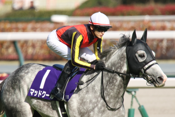 2025年3月 マッドクール