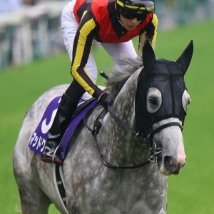 2025/6/8 安田記念(G1)