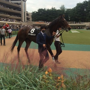 2022/10/16 鷹巣山特別(2勝クラス)