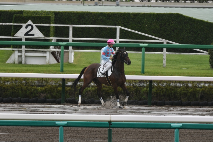 本馬場入場　 ドリームアジェンダ