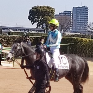 勝ちました❗