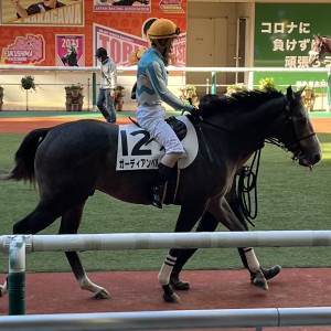 パドック