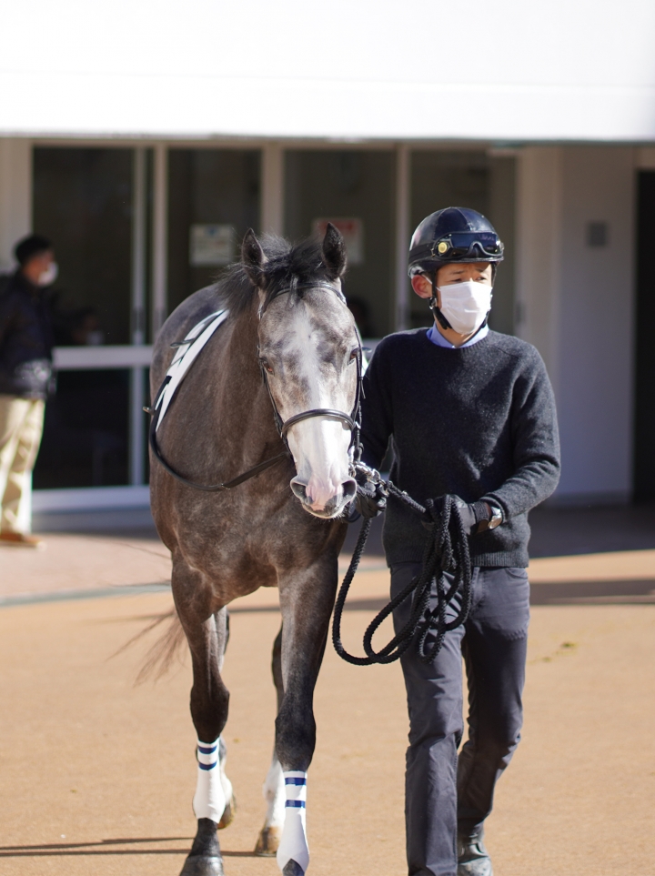 2021/12/18 2歳未勝利 ガーディアンベル