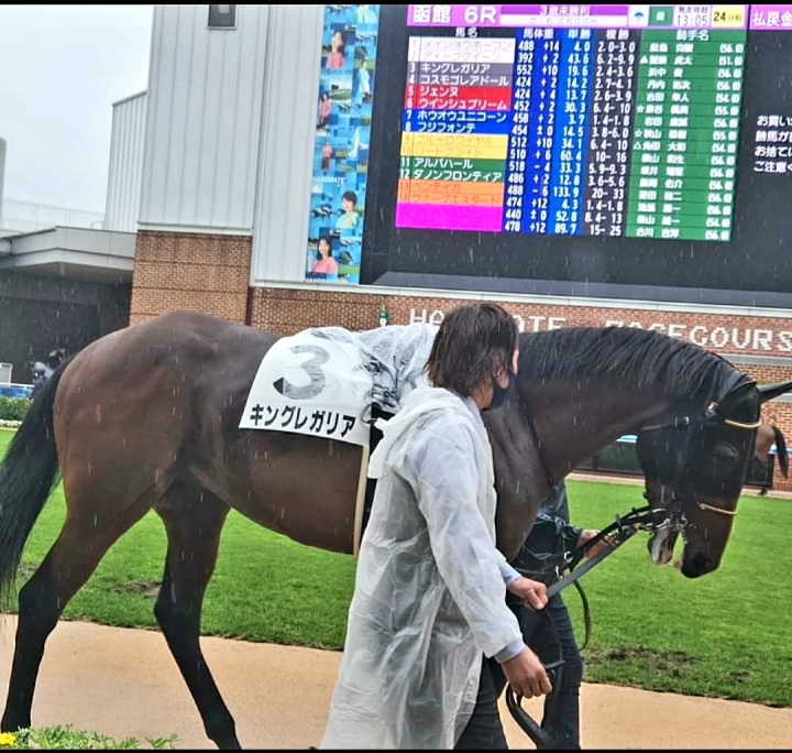 2022/7/17 3歳未勝利 キングレガリア