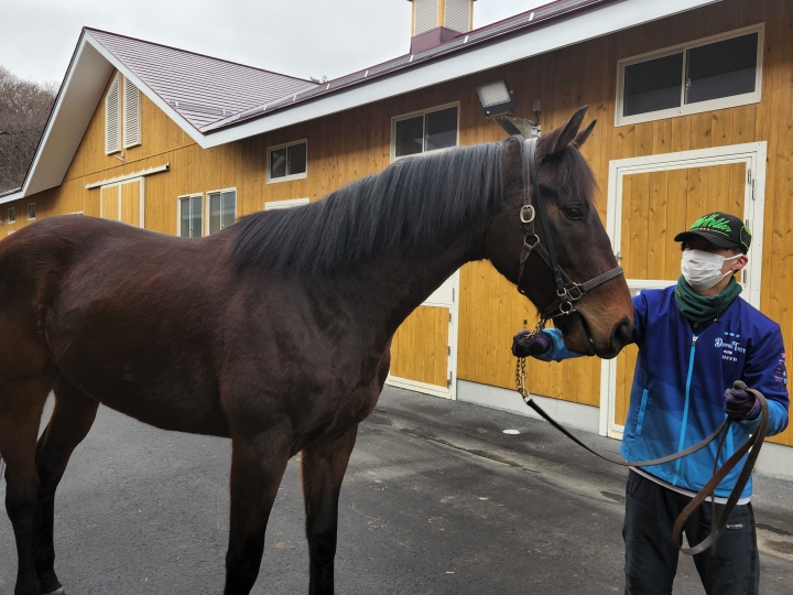 ノルマンディーファーム小野町 キングレガリア