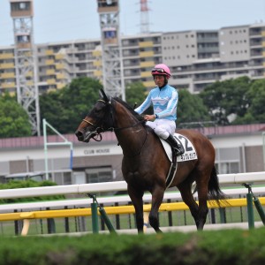 2022/6/26 3歳未勝利