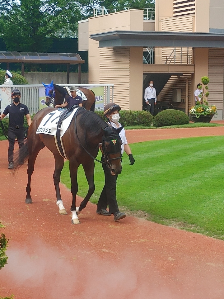 2022/8/7 3歳以上1勝クラス ルヴェルジェ