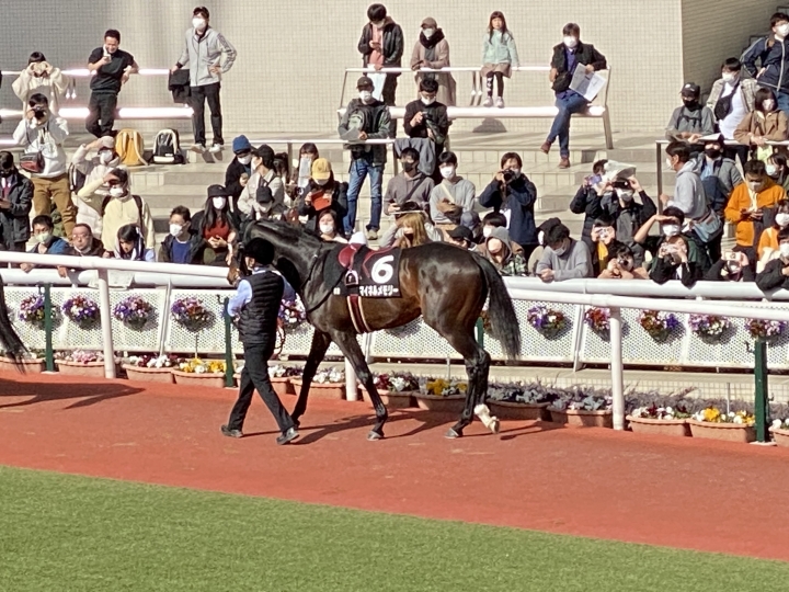2023/2/12 こぶし賞(1勝クラス) マイネルメモリー