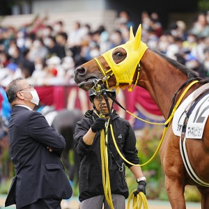 2023/5/14 3歳1勝クラス