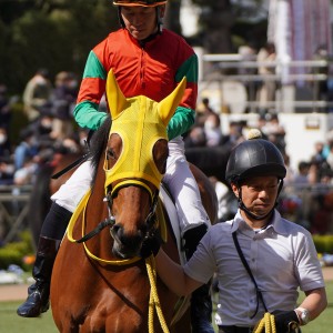 2023/3/11 3歳1勝クラス