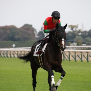 2023/11/4 3歳以上2勝クラス