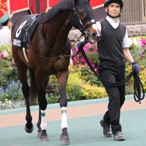 2024/4/27 府中市市制施行70(3勝クラス)