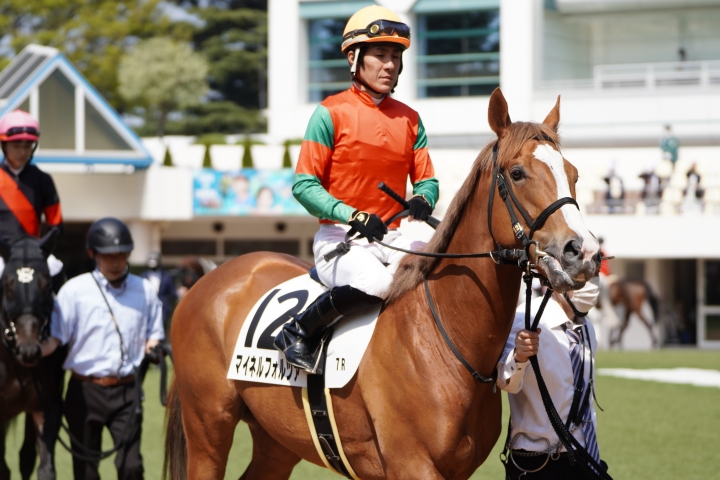 2023/4/1 3歳1勝クラス マイネルフォルツァ