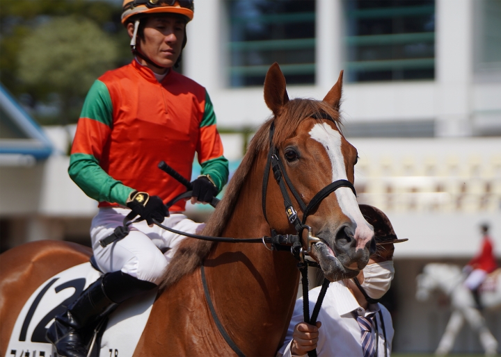 2023/4/1 3歳1勝クラス マイネルフォルツァ