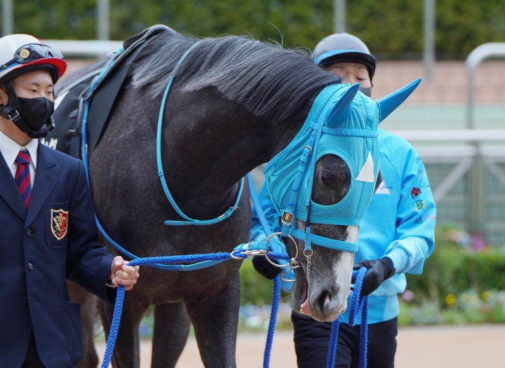 2023/2/25 水仙賞(1勝クラス) フェアエールング
