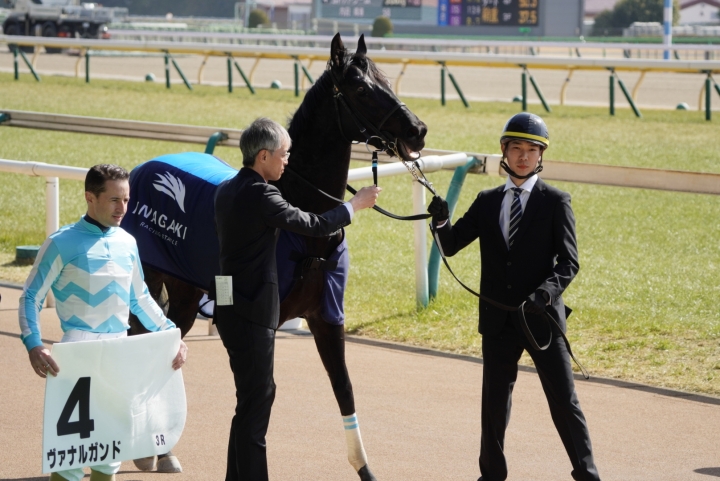 2023/2/18 3歳未勝利 ヴァナルガンド