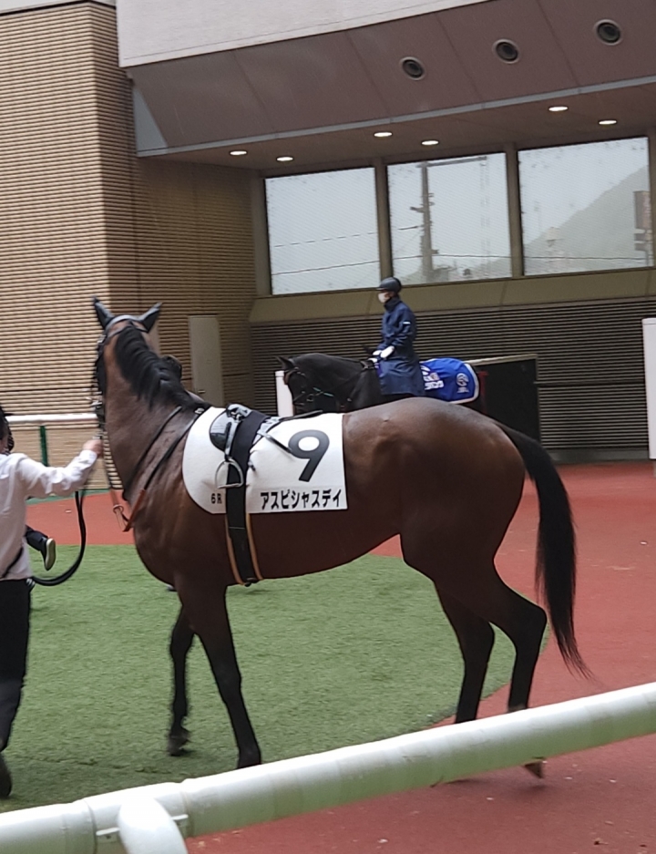 2023/4/15 3歳未勝利 アスピシャスデイ