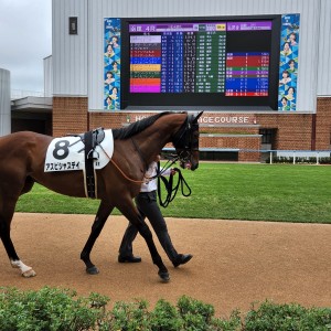 2023/6/10 3歳未勝利