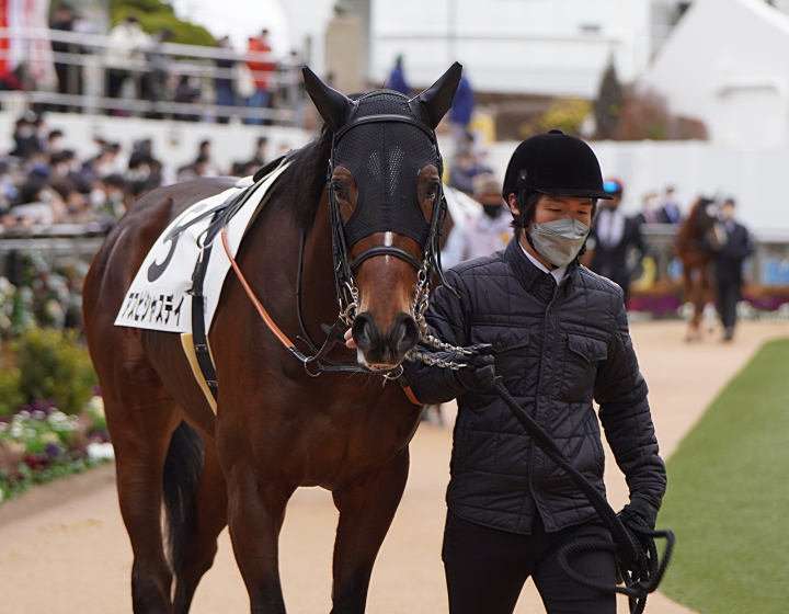 2023/1/15 3歳未勝利 アスピシャスデイ