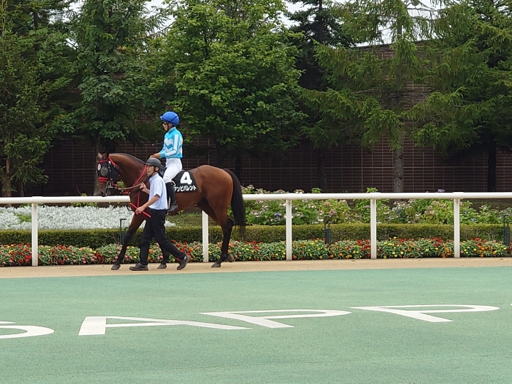 2023年8月 アンビバレント