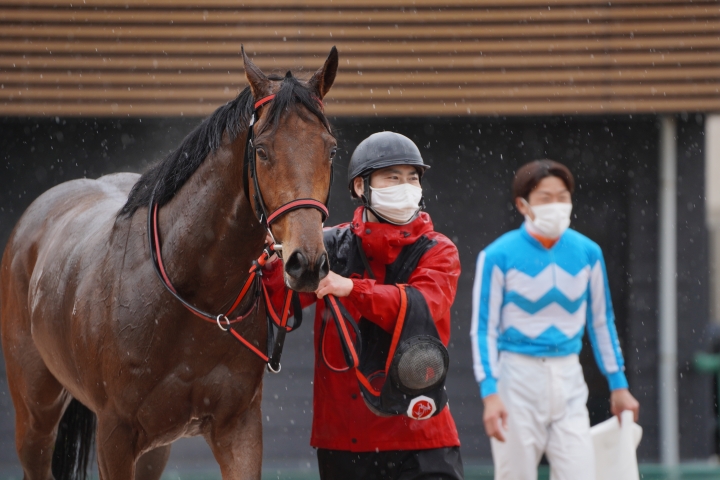 2023/3/25 3歳1勝クラス アンビバレント