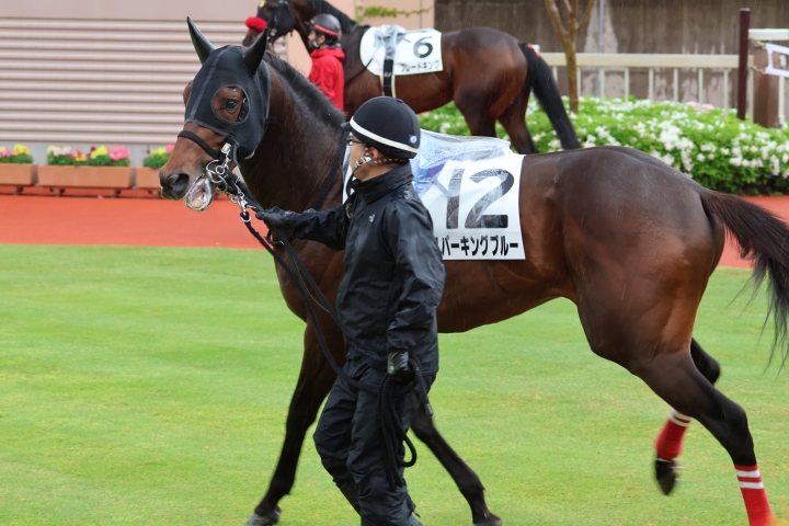 2023年5月 スパーキングブルー