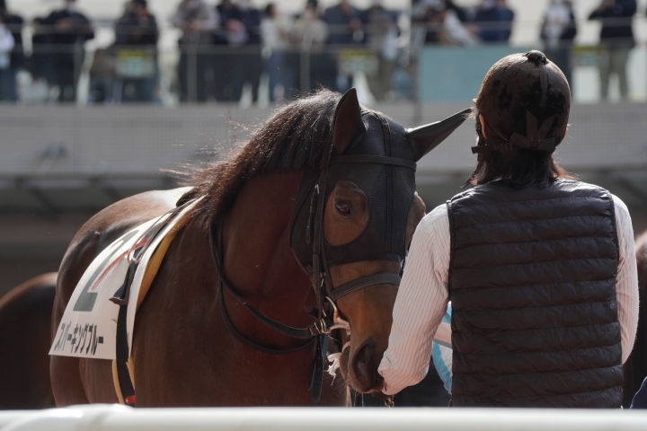 2023/3/4 3歳未勝利 スパーキングブルー