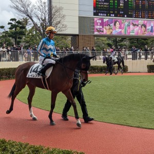 2023年1月15日小倉新馬戦