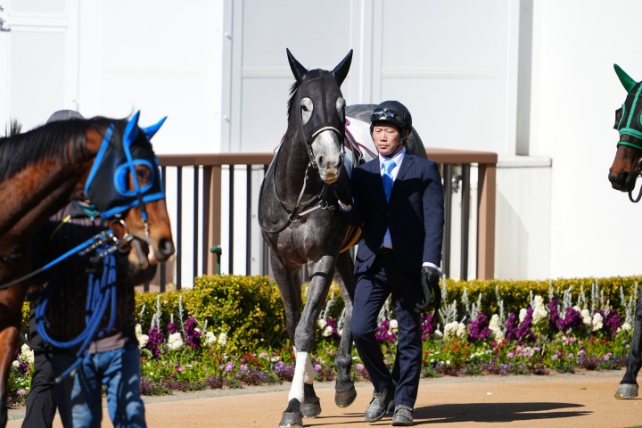 2024/3/9 4歳以上1勝クラス(牝) プラティクレール