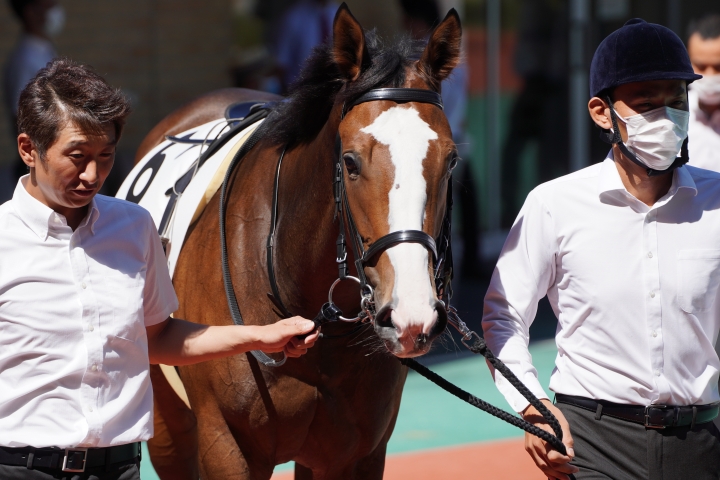 2022/9/24 2歳新馬 オルノア