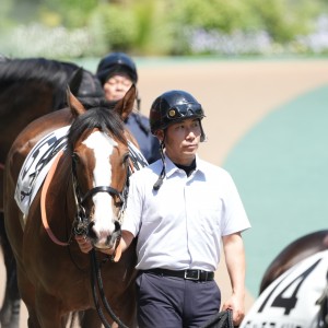2024/5/18 4歳以上1勝クラス