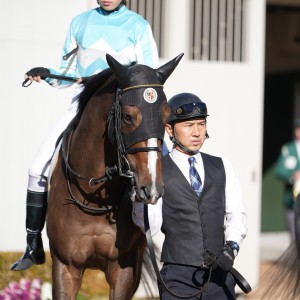 2024/12/1 3歳以上1勝クラス(牝)