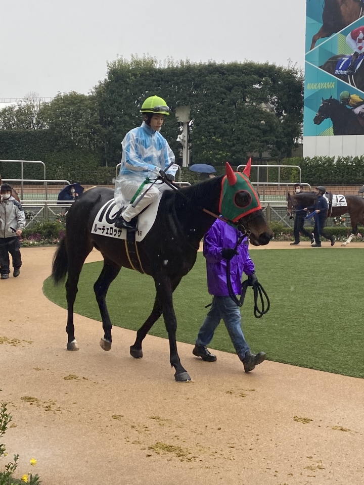 2023/1/14 3歳未勝利 ルーチェロッサ