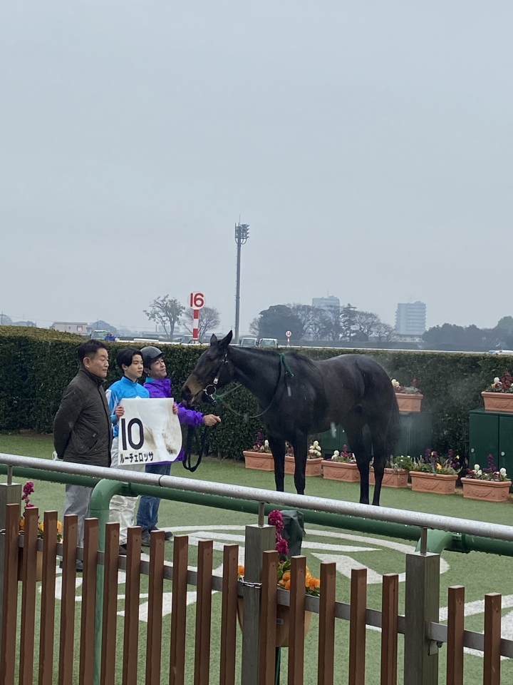 2023/1/14 3歳未勝利 ルーチェロッサ