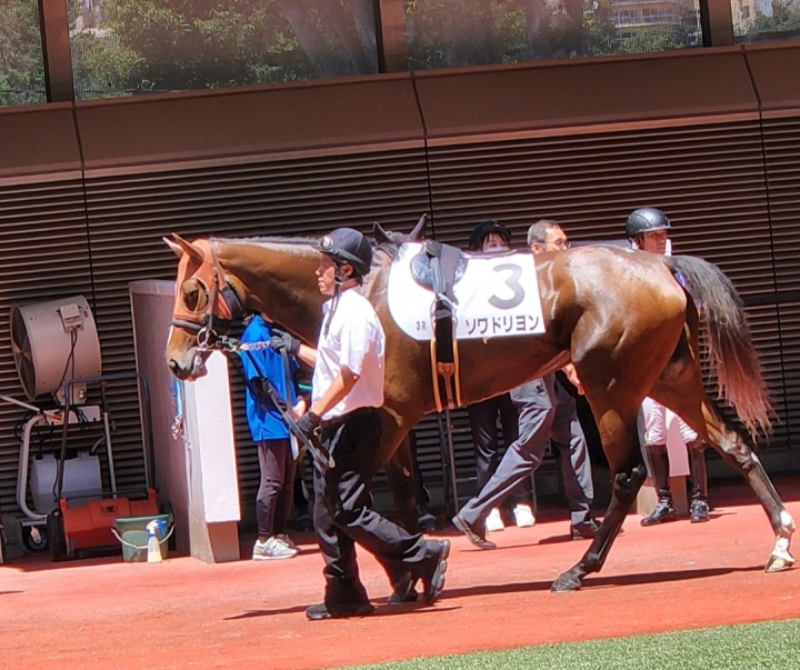 2023/7/2 3歳未勝利(牝) ソワドリヨン