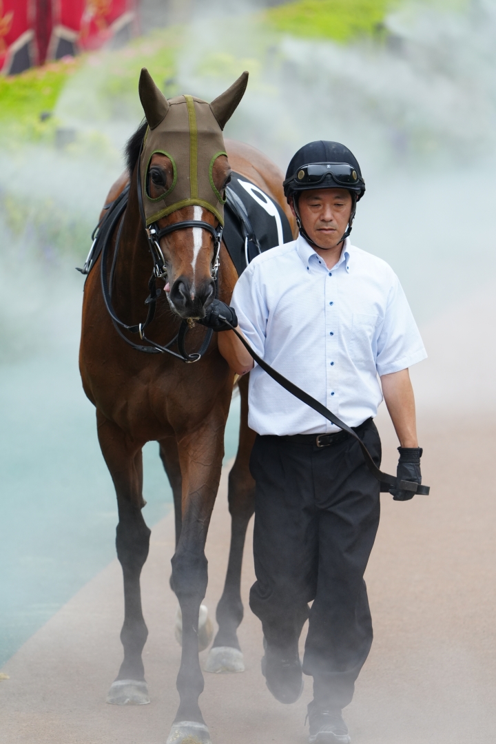 2024/5/19 調布特別(2勝クラス) ソワドリヨン