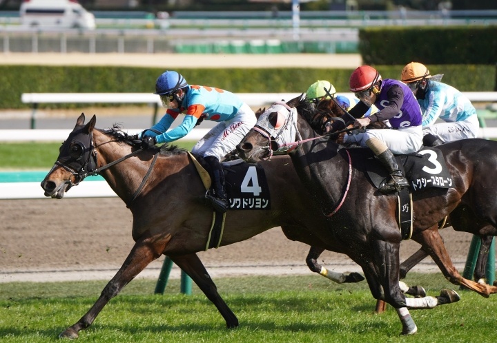2026/3/7 潮来特別(2勝クラス) ソワドリヨン