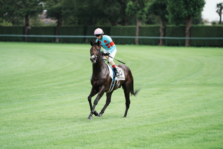 2023/9/9 3歳以上1勝クラス トラマンダーレ