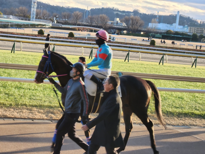 2024/1/27 4歳以上1勝クラス シエロエスティーボ