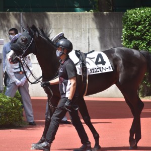 2022年9月