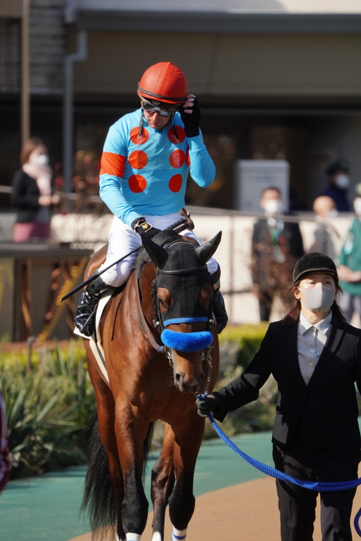 2023/2/12 3歳未勝利 ローディアマント