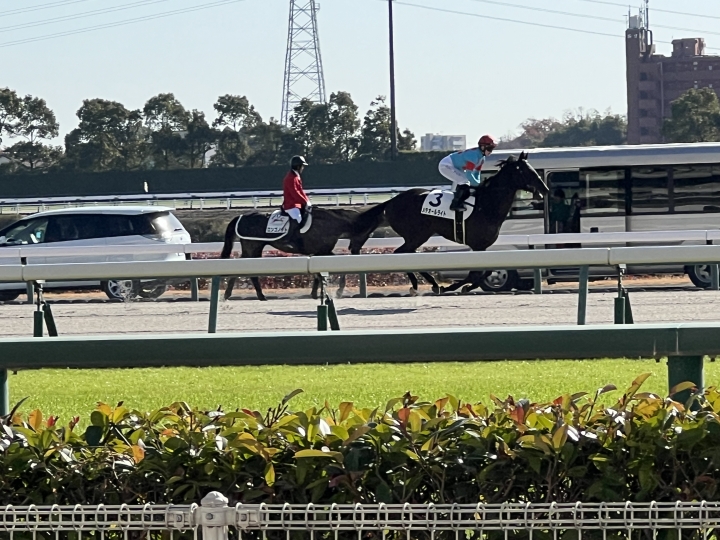 返し馬 メテオールライト