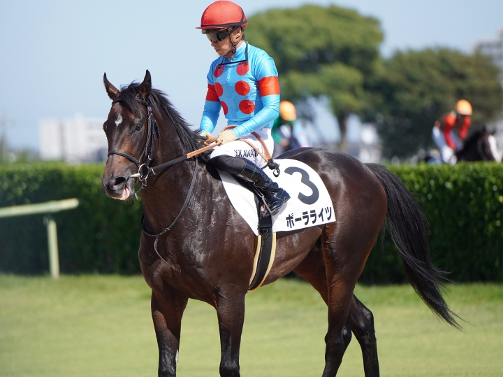 2022/9/25 2歳新馬 ポーラライツ