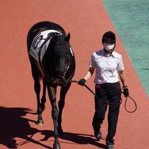 2022/9/24 2歳新馬(牝)