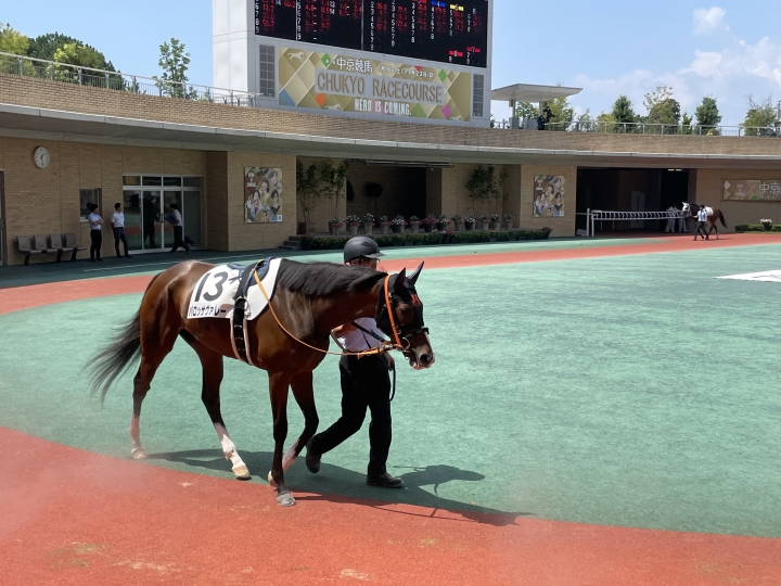 2023年7月 バロッサヴァレー