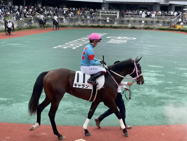 2022/9/18 2歳新馬 ギャラン